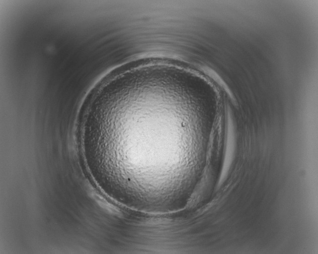 X0000083071068200702091524