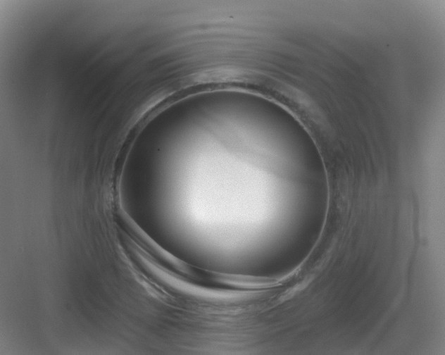 X0000083071073200702091524