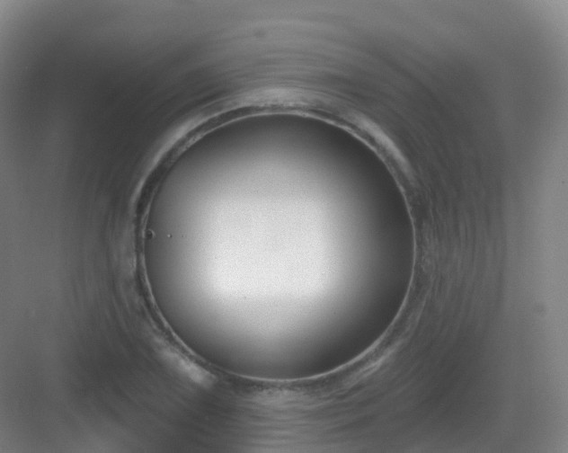 X0000083071075200702091524