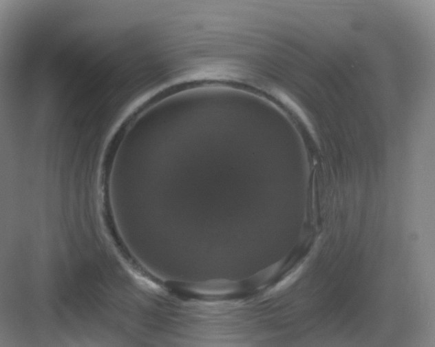 X0000083071077200702091524