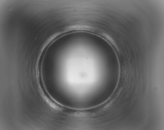 X0000083071082200702091524