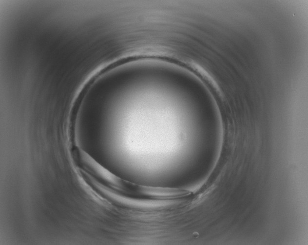X0000083071085200702091524