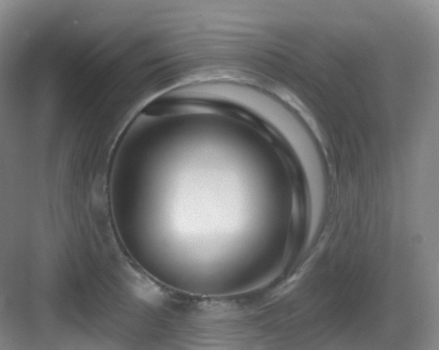 X0000083071089200702091524