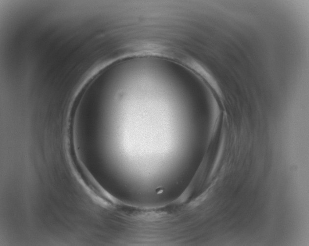 X0000083071093200702091524