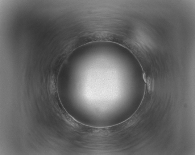 X0000083071107200702091523