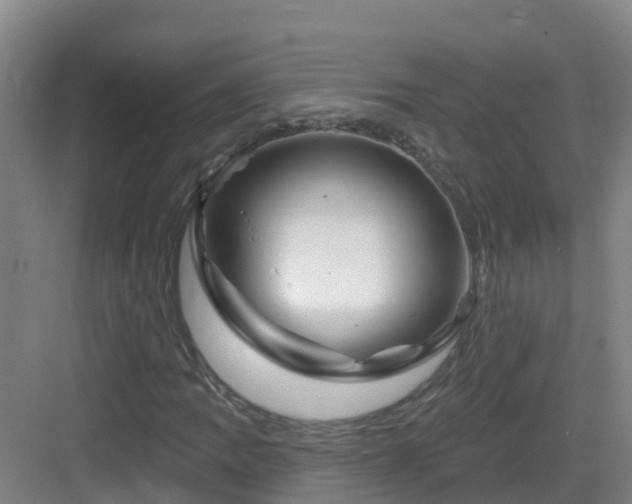 X0000083071109200702091523