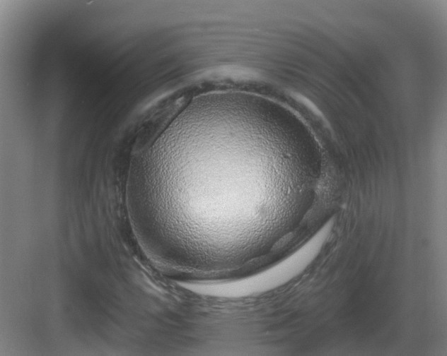 X0000083071112200702091523