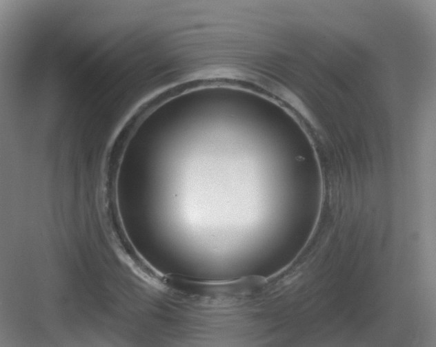 X0000083071116200702091523
