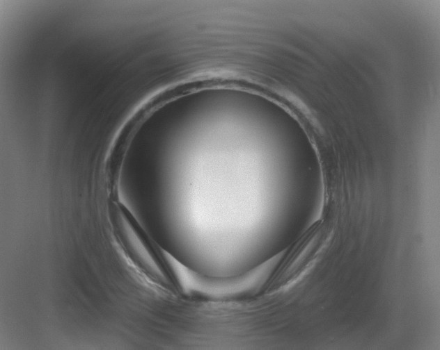 X0000083071118200702091523