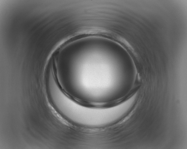 X0000083071122200702091523