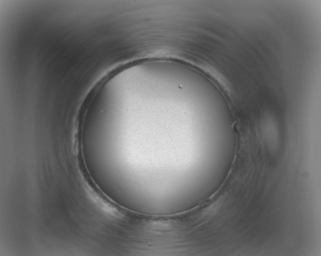 X0000083071126200702091523