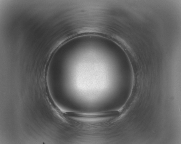 X0000083071129200702091523