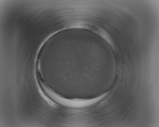 X0000083071132200702091523