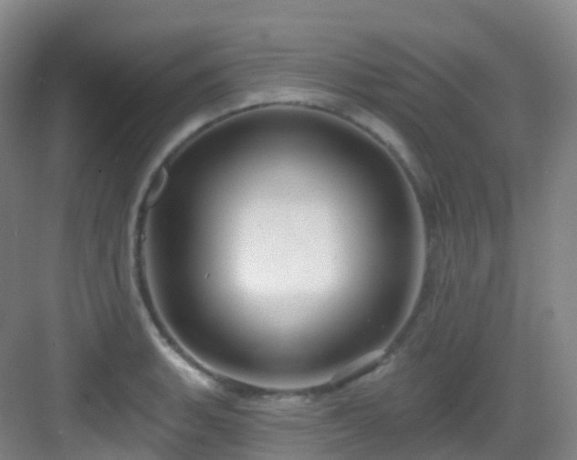 X0000083071135200702091523