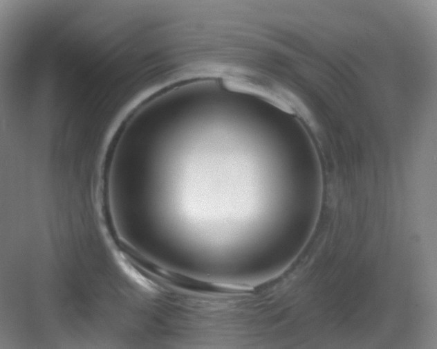 X0000083071136200702091523