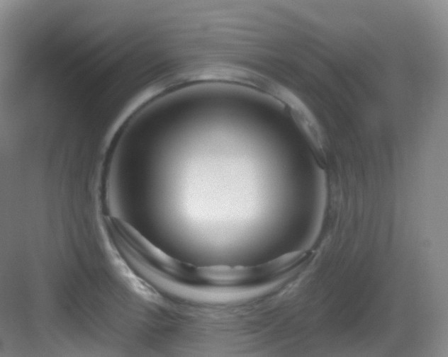 X0000083071138200702091523