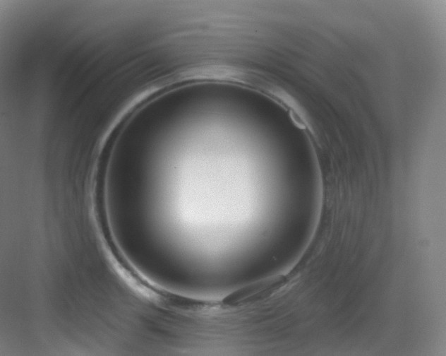 X0000083071139200702091523
