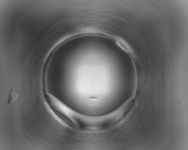 X0000083071142200702091523