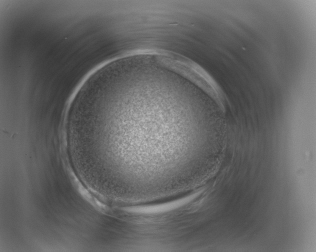 X0000083071148200702091524