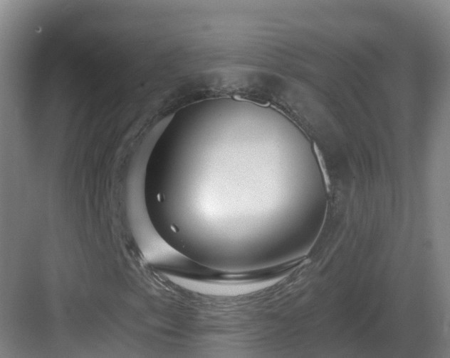 X0000083071153200702091523