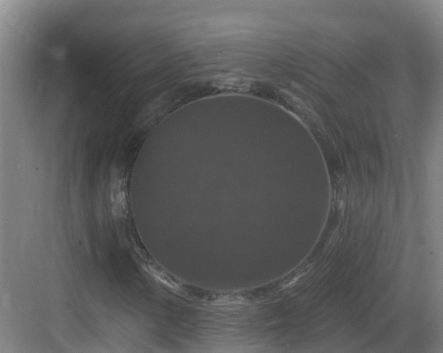 X0000083071154200702091523