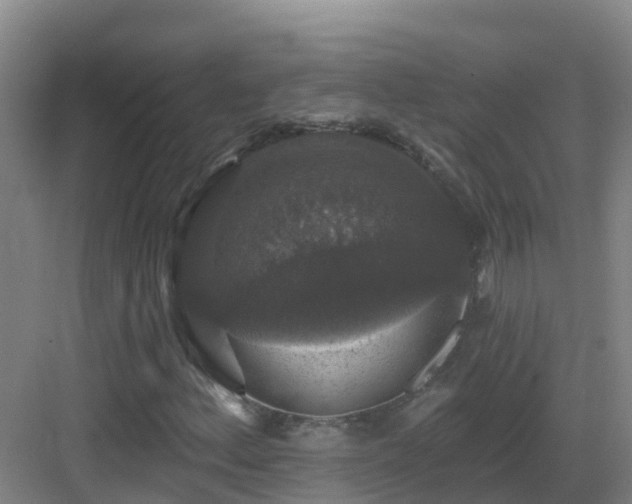 X0000083071156200702091523