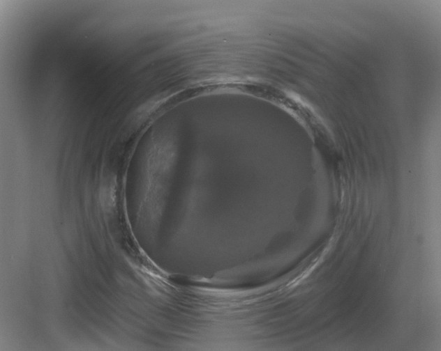 X0000083071161200702091523