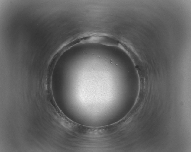 X0000083071165200702091523