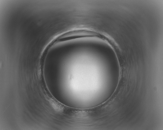X0000083071167200702091523