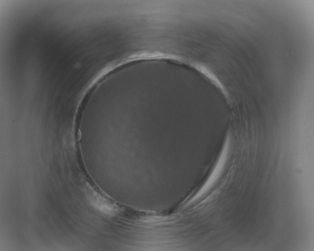 X0000083071173200702091523