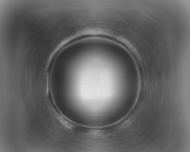 X0000083071175200702091522
