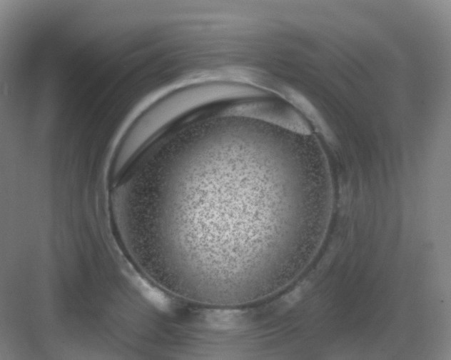 X0000083071184200702091522