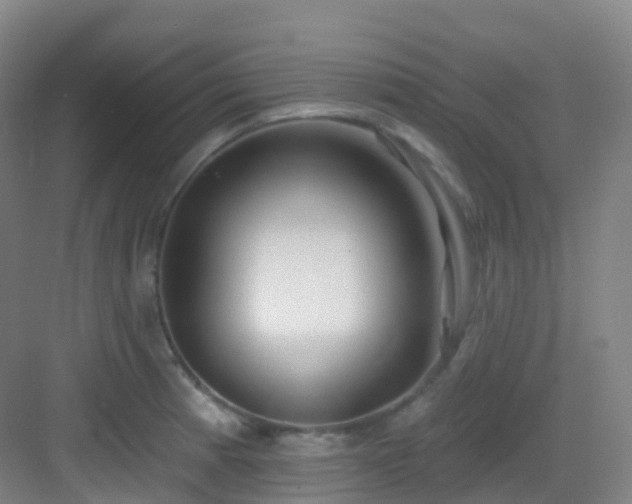 X0000083071185200702091522