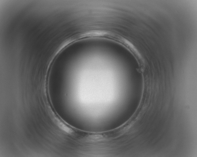 X0000083071186200702091522