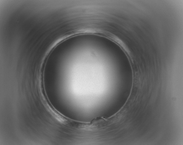 X0000083071187200702091522