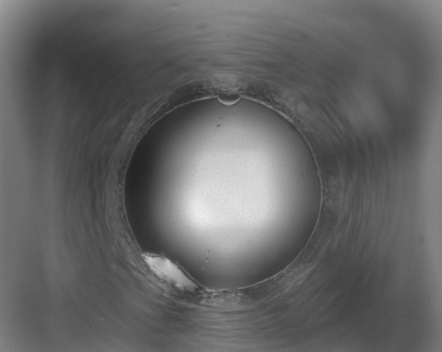 X0000083071201200702091521