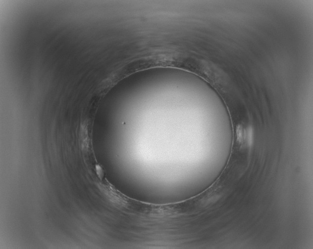 X0000083071203200702091521
