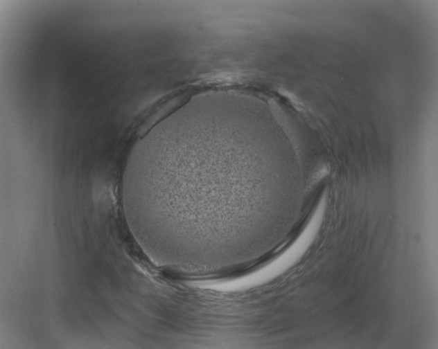 X0000083071206200702091521