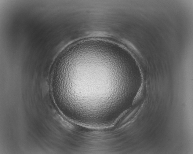 X0000083071212200702091521