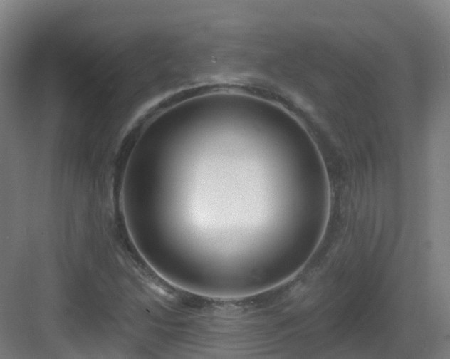 X0000083071214200702091521