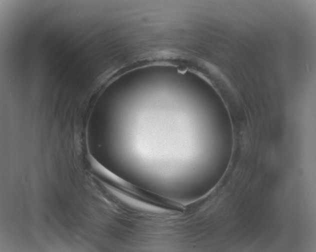 X0000083071217200702091522
