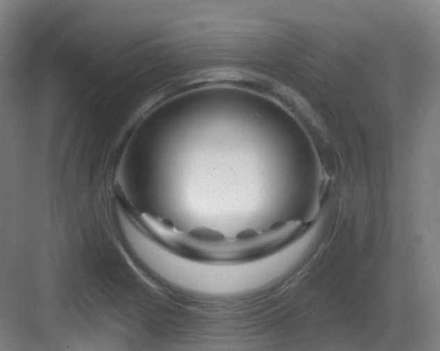 X0000083071225200702091522