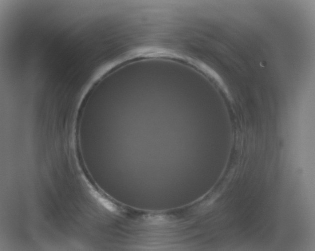 X0000083071231200702091522