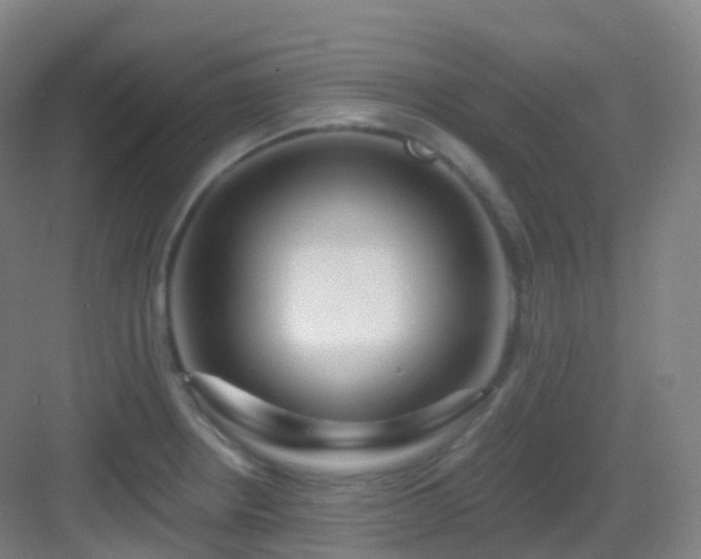 X0000083071234200702091522