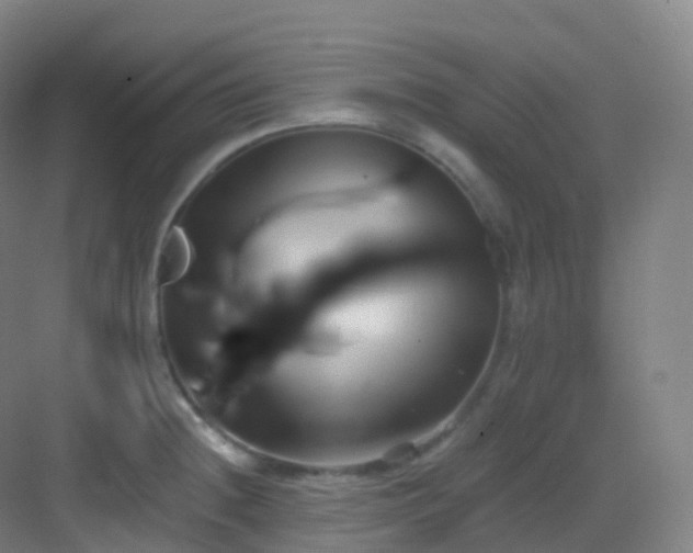 X0000083071236200702091522