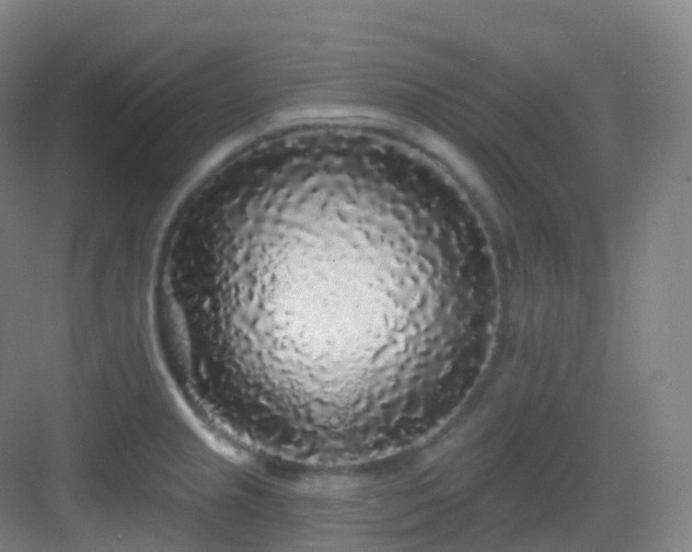 X0000083071237200702091522