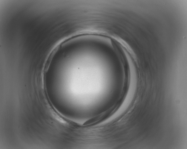X0000083071238200702091522