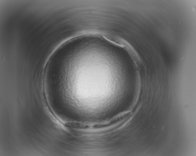 X0000083071244200702091522