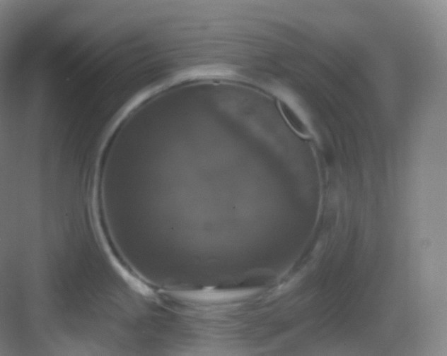 X0000083071245200702091522