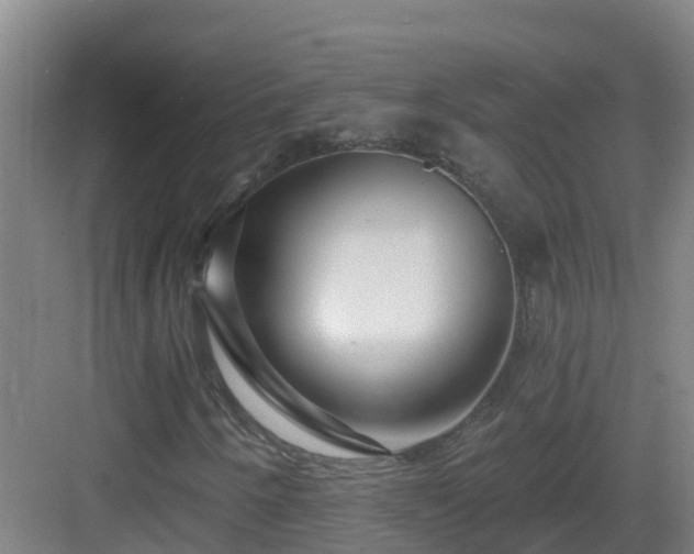 X0000083071250200702091521